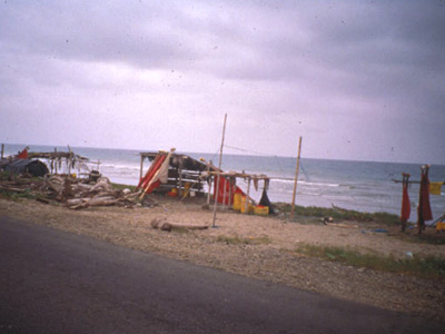 South America